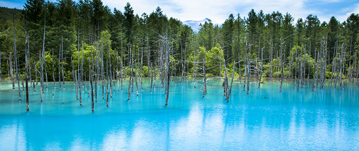 北海道 青池