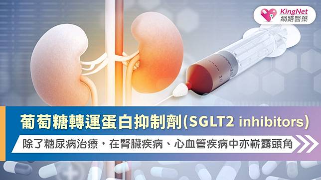 葡萄糖轉運蛋白抑制劑(SGLT2 inhibitors)：除了糖尿病治療，在腎臟疾病、心血管疾病中亦嶄露頭角 | KingNet 國家網路醫藥 ...