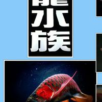 明龍水族精品