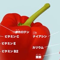 パプリカ店
