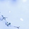 薄桜鬼 なりきり   「  秋涼の候  」