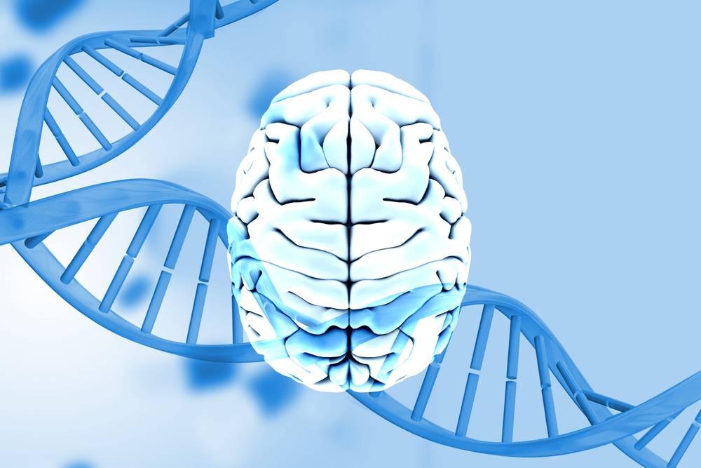 Scientists Confirm APOE Gene Mutation Slows Brain Degeneration in Alzheimer’s Patients