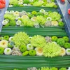 源氏兄弟だらけの本丸2