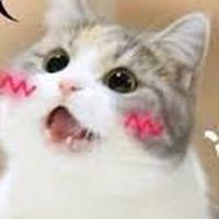 抱怨   開心