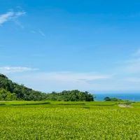 青魚海岸線的理聊室