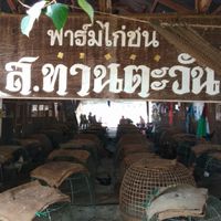 ฟาร์มไก่ ส.ทานตะวัน จังหวัด สระแก้ว
