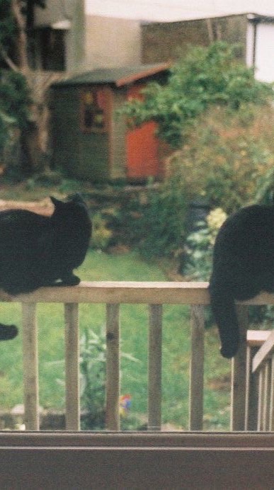 Secret staycation (ช่วยกันหา)