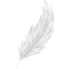 Elegant Feather School