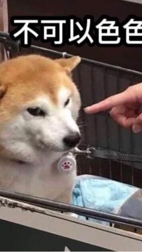迷鹿的孩子