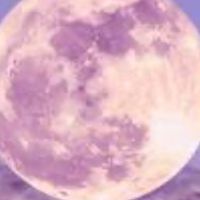 歌い手の裏方募集