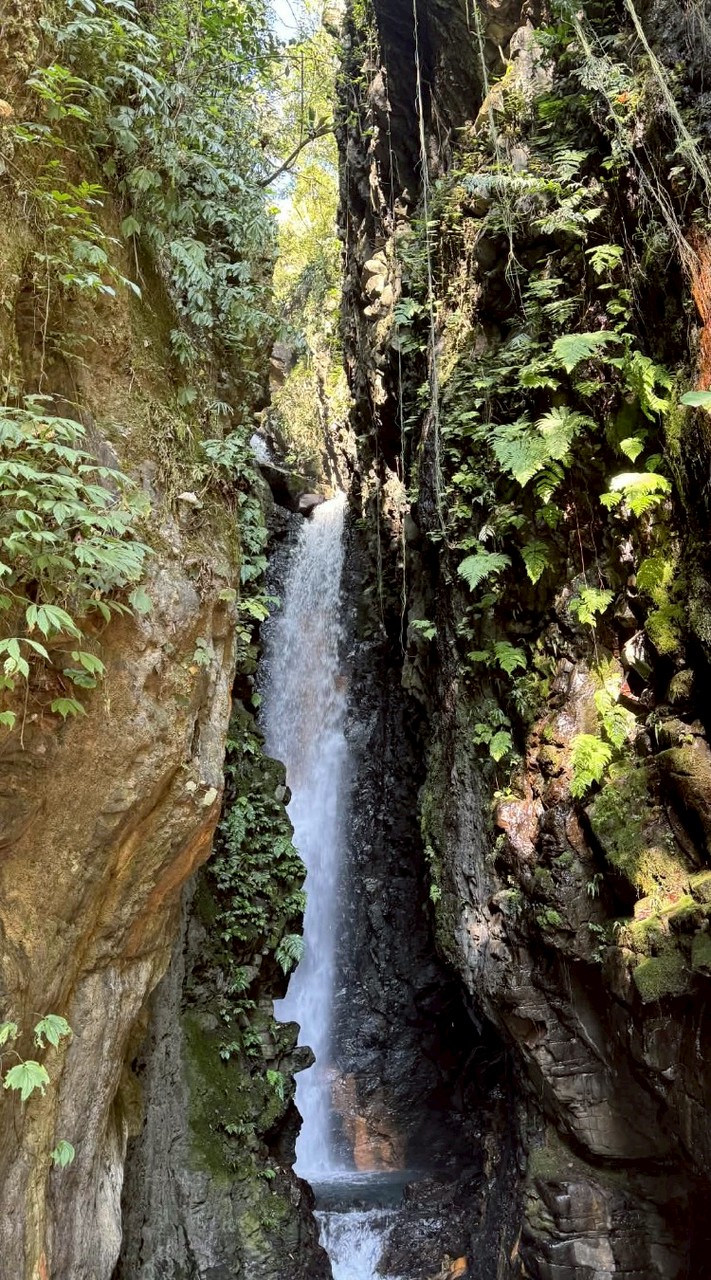 115-03-31武界雲海民宿