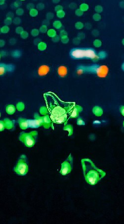 Will be GOT7 Forever's Ahgase💚🐥のオープンチャット