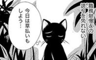 黒猫の駅長さん 無料マンガ Line マンガ