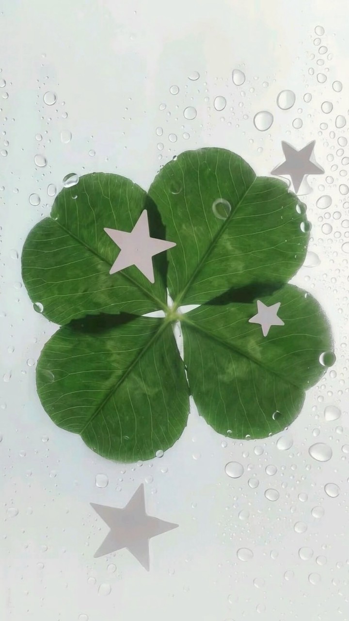 แอพพรี Luckyclover