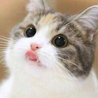 หนอนหนูหริ่ง.(•^•).น้องไอเดียหน้ารัก