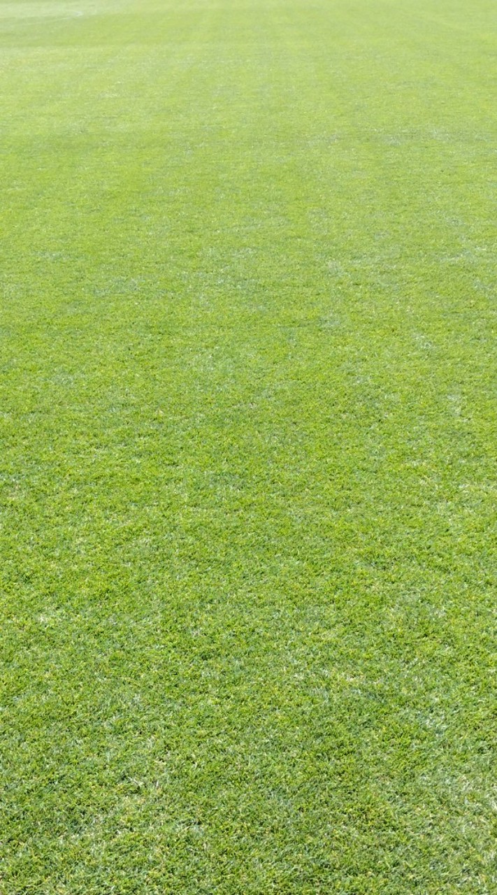 大宮FC2026･1年生