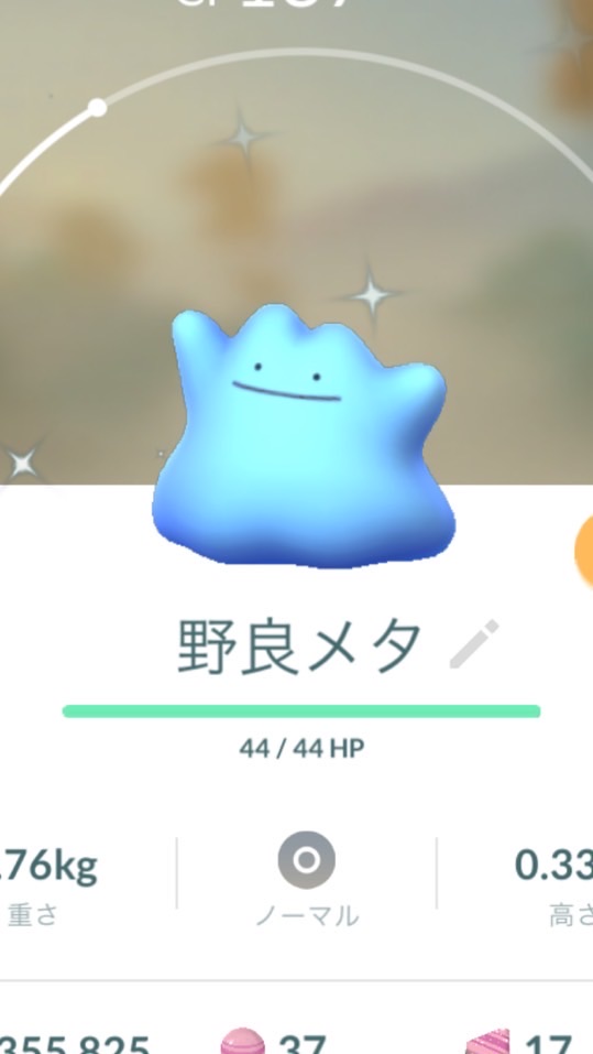 OpenChat ポケGO青専用オプチャ