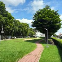 Nirun Vill 10 เฟส1*(2)
