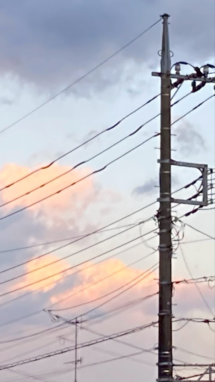 学生おいで