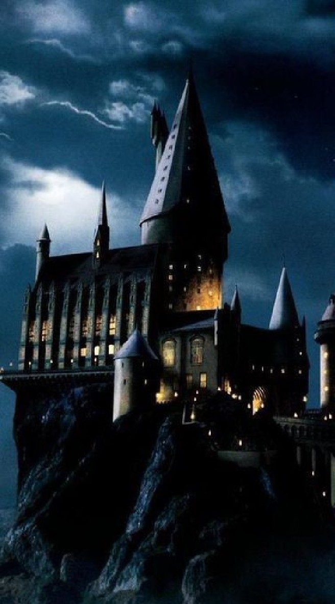 Hogwarts School