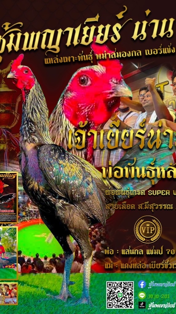 ซุ้มพญาเยียร์ น่าน