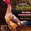 ซุ้มพญาเยียร์ น่าน