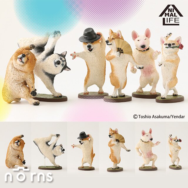 【Animal Life狗舞蹈大師 全套】Norns 公仔擺飾 動物盒玩 動感 柯基 牛頭梗 柴犬 哈士奇 鬆獅犬 吉娃娃 日本朝隈俊男 第五彈