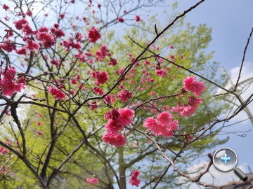 IMG20200316113535.jpg IMG20200316113535.jpg