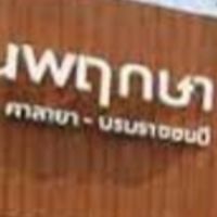 ชุมชนคนพฤกษา 102