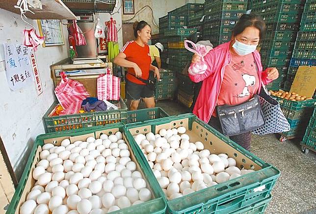 為解決蛋荒，農業部斥資5億多元專案進口雞蛋，卻讓蛋荒演變成食安風暴。台北市蛋行老闆娘20日表示，現在民眾都不太敢到大賣場買雞蛋，店裡最近出現很多生面孔，一開口就問不是進口蛋吧。（陳君瑋攝）
