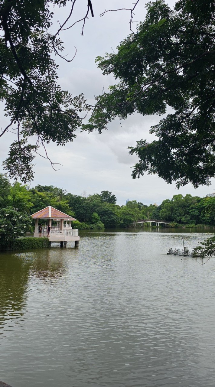 City to Nature