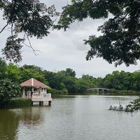 City to Nature