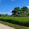 แชร์เทคนิควิธีการยิงแอดสายเทา
