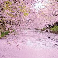 てんかんもちの雑談部屋