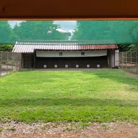 東北大学弓道サークルzansin2022新歓