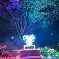埼玉大学イルミネーションプロジェクト実行委員会_2026新歓