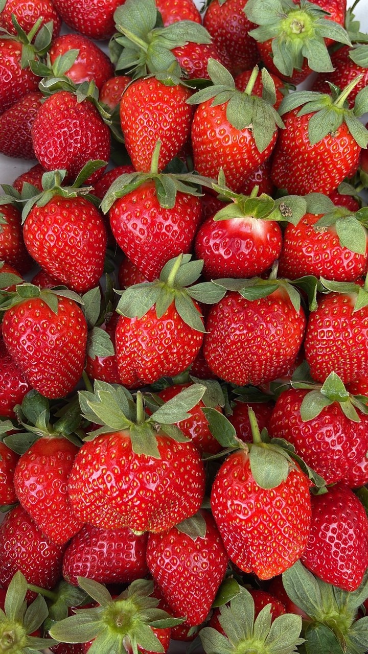 🍍② ⑥ ⑧ ③水果專車