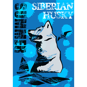 シベリアンハスキーと夏