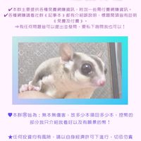 Lean—賺錢有道《免費網賺整合資訊站，創造被動收入，開啟您的斜槓人生》💰