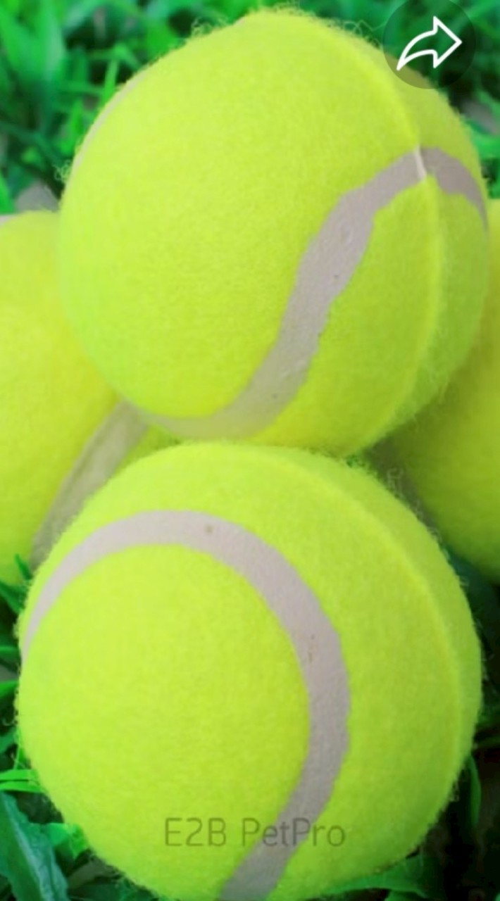 GHB Tennis Acadamy