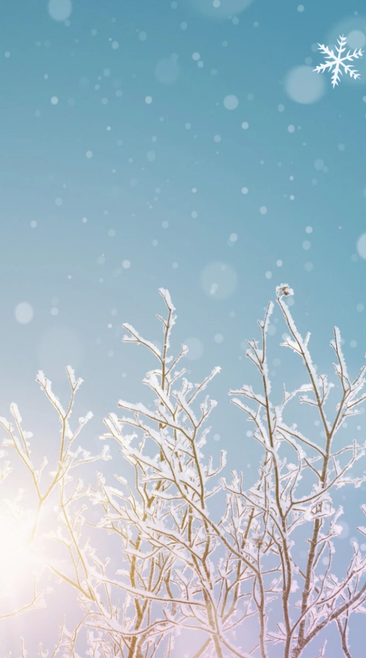 雪景色🧊連絡用