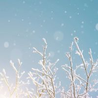 雪景色🧊連絡用