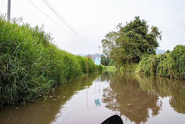 【日月潭一日遊】南投頭社活盆地農村美食餐桌與休閒農場-體驗不一樣的在地食材美味佳餚與獨特河道獨木舟體驗