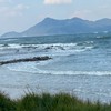 ✨広島ポケカ✨新弾、再販を集める会✨トレカ専門で、少し山口もやるよ👍