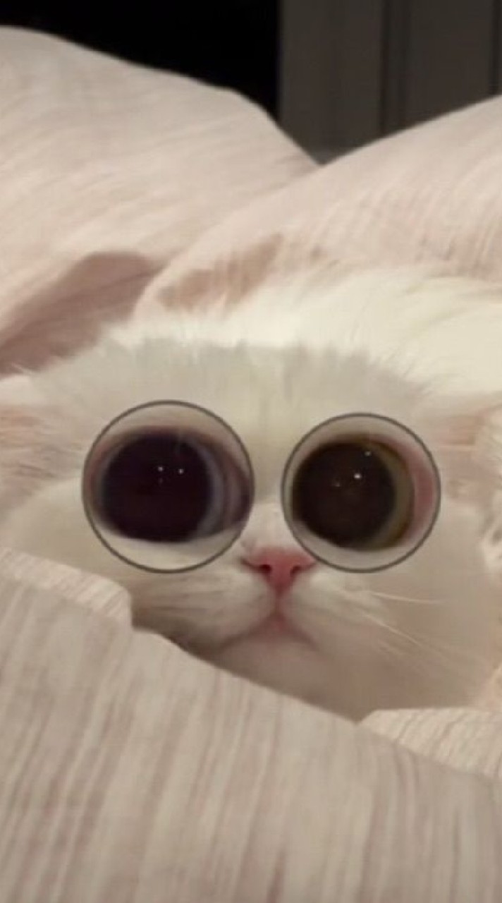 𝘾𝙤𝙙𝙚𝘼𝙢 𝙗𝙮 𝙣𝙭𝙚𝙮𝙣𝙖²