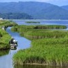 東北　鰻遊会