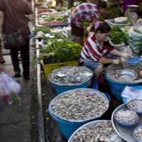 ตลาดนัดชาวทาง