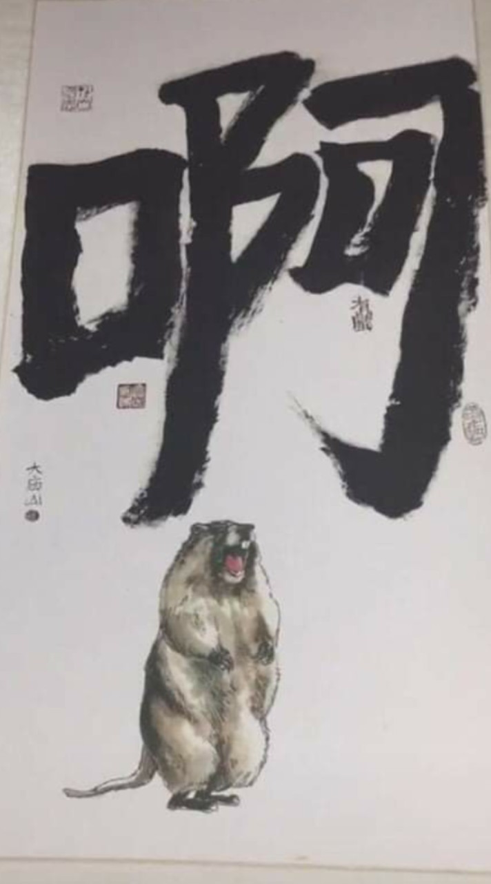 Mr.奇 毛回來買
