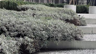 牛津鞋不是雕花鞋，因此景觀設計也絕不只是園藝而已（下） 專訪太研規劃顧問設計有限公司吳書原景觀建築師