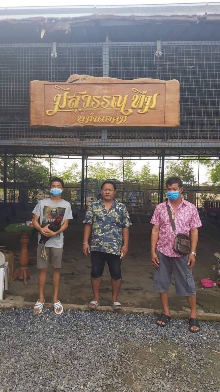 3 กะรัต